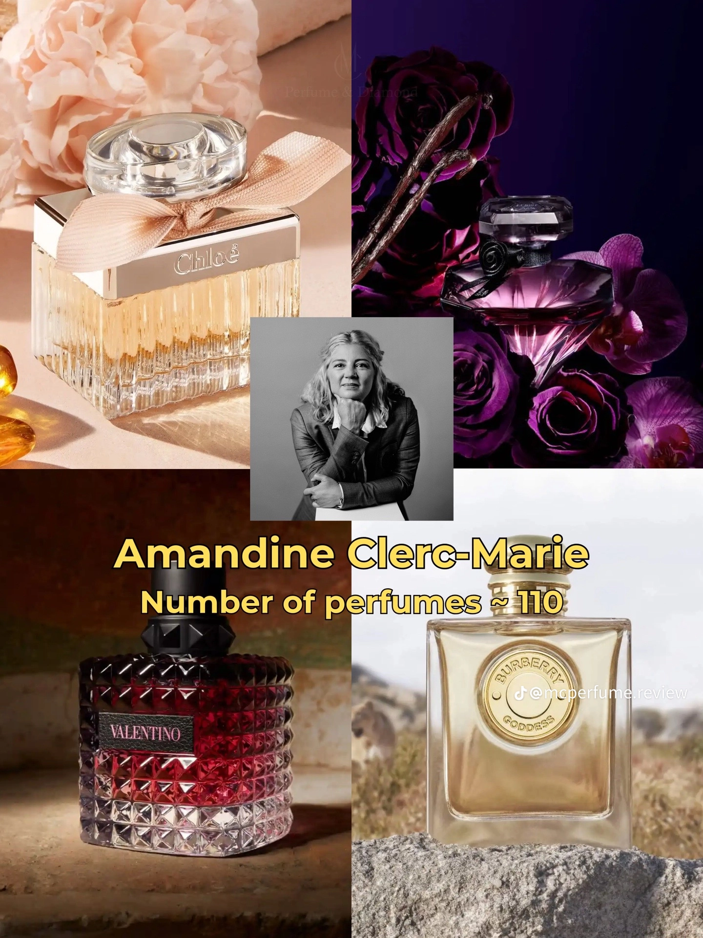 Perfumer Profiles — card 4