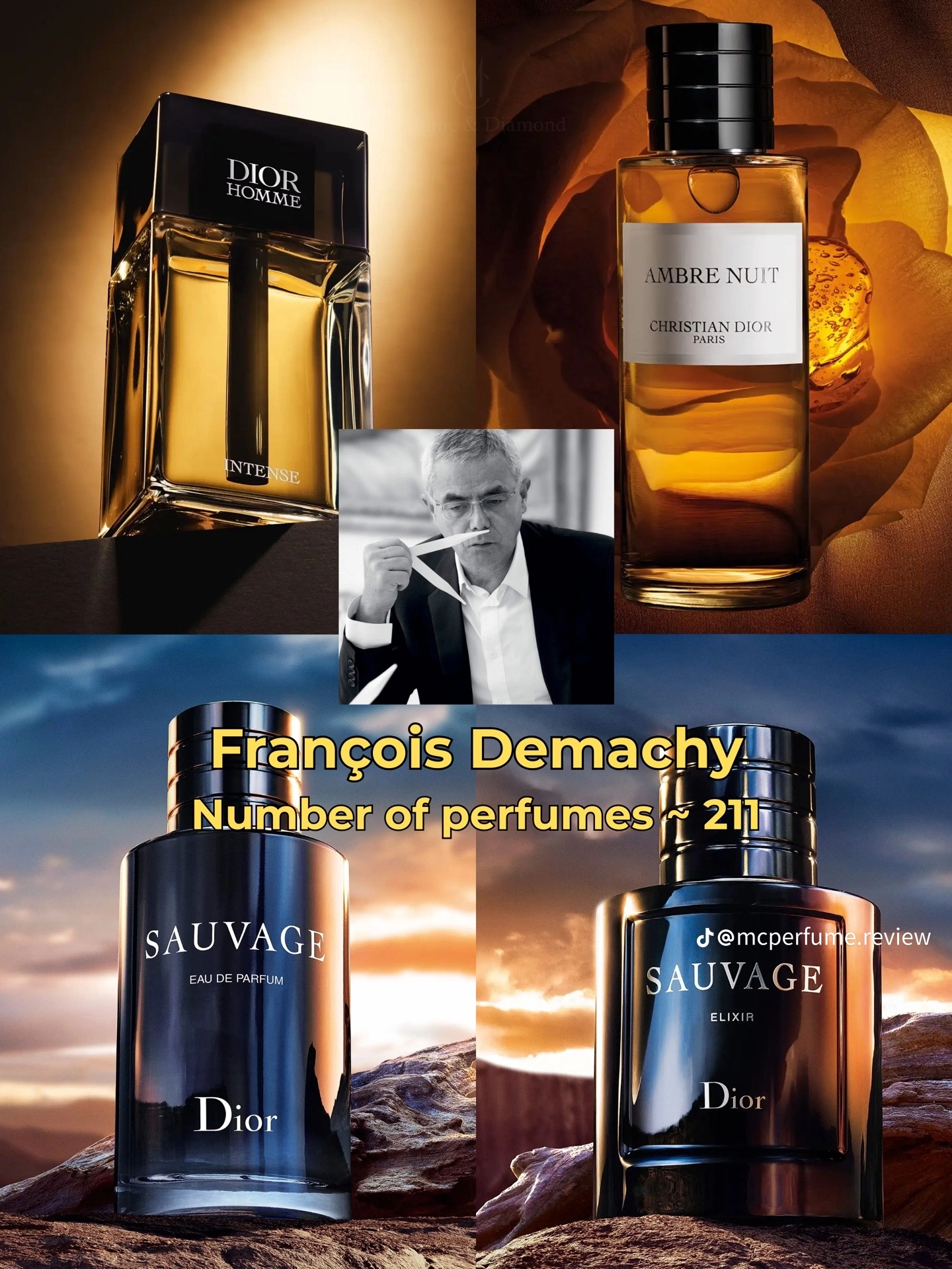 Perfumer Profiles — card 9