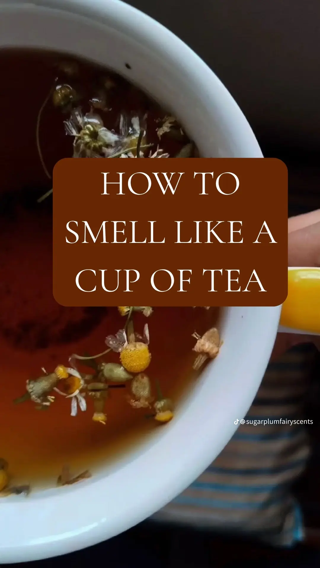 How to Smell Like a Cup of Tea — card 3